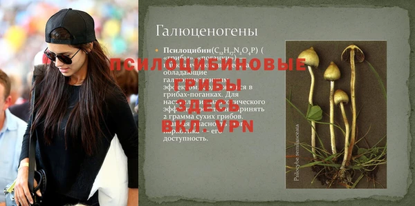 не бодяженный Армянск
